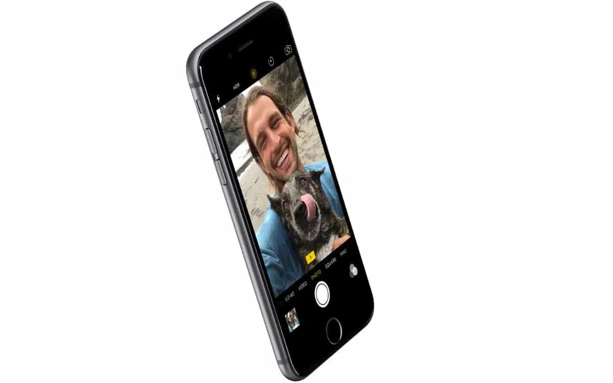 un gros plan d'un portable avec un homme et un chien dessus