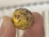 quelqu'un tenant une boule d'or dans sa main devant un mur blanc