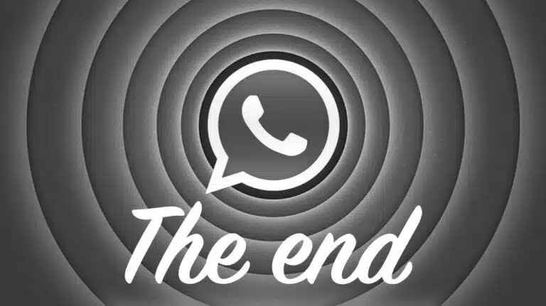 fin whatsapp